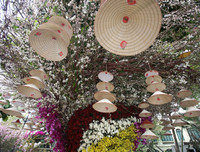 Rực rỡ lễ hội hoa anh đào