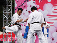 Rực rỡ lễ hội hoa anh đào