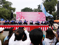 Rực rỡ lễ hội hoa anh đào