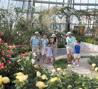 Vượt biển khám phá Vương quốc hoa hồng – trải nghiệm mới cực ngọt ngào tại Nha Trang