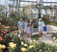 Vượt biển khám phá Vương quốc hoa hồng – trải nghiệm mới cực ngọt ngào tại Nha Trang