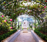 Vượt biển khám phá Vương quốc hoa hồng – trải nghiệm mới cực ngọt ngào tại Nha Trang