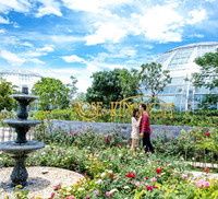 Vượt biển khám phá Vương quốc hoa hồng – trải nghiệm mới cực ngọt ngào tại Nha Trang