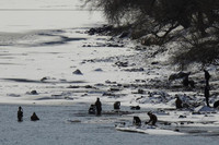 [ẢNH] Cuộc sống của người dân Triều Tiên bên bờ sông Yalu