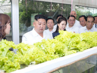 [Ảnh] Cận cảnh những chuyến thị sát cơ sở doanh nghiệp của ông Kim Jong-un