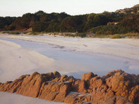 [ẢNH] Người sống ở nơi 'an toàn nhất' thế giới không lo sợ về Covid-19