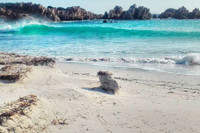 [ẢNH] Người sống ở nơi 'an toàn nhất' thế giới không lo sợ về Covid-19