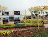 Nô nức rủ nhau dạo đường hoa bên sông Hàn đón Tết