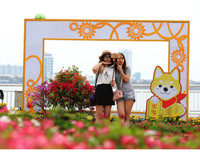 Nô nức rủ nhau dạo đường hoa bên sông Hàn đón Tết