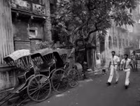 [ẢNH] Cận cảnh cuộc sống mưu sinh cực nhọc của phu kéo xe ở Ấn Độ