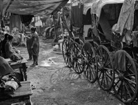 [ẢNH] Cận cảnh cuộc sống mưu sinh cực nhọc của phu kéo xe ở Ấn Độ