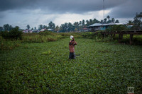 [ẢNH] Bi kịch của những người đàn ông đổi mạng vì món ăn sang của nhà giàu