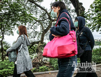 [ẢNH] Đề phòng mắc nCoV, du khách không rời khẩu trang y tế khi du xuân