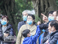 [ẢNH] Đề phòng mắc nCoV, du khách không rời khẩu trang y tế khi du xuân