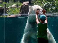 [ẢNH] Nắng nóng khủng khiếp 