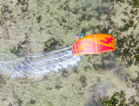 Khoáng đạt Festival lướt ván thả diều trên biển