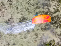 Khoáng đạt Festival lướt ván thả diều trên biển