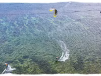 Khoáng đạt Festival lướt ván thả diều trên biển