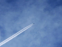 Cảnh điêu tàn xót xa ở Đông Ghouta vì chiến tranh tàn phá (2)