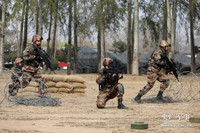 [ẢNH] Trung Quốc đẩy nhanh tiến độ trang bị súng trường công nghệ cao cực kỳ nguy hiểm