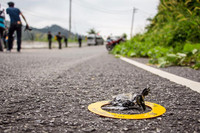 Thái Lan: Đánh bom làm một cảnh sát thiệt mạng