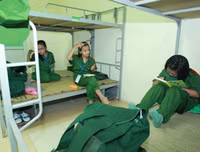 Khởi động chương trình 