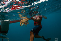 [ẢNH] Bi kịch của những người đàn ông đổi mạng vì món ăn sang của nhà giàu