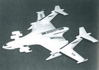 [ẢNH] Choáng ngợp trước siêu thủy phi cơ trọng lượng cất cánh... 1.000 tấn của Nga