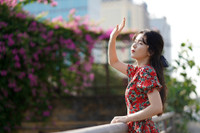 Hà Nội dịu dàng mùa hoa giấy khoe sắc