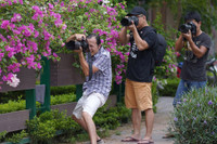 Hà Nội dịu dàng mùa hoa giấy khoe sắc