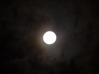 [ẢNH] Nguyệt thực toàn phần tối 31-1 trăm năm mới có một lần và những điều cần biết