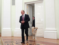 [ẢNH] Thú cưng, quà sinh nhật đặc biệt của Tổng thống Nga Vladimir Putin