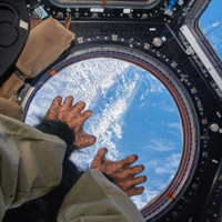 [ẢNH] Cuộc sống lạ kỳ tại Trạm vũ trụ quốc tế mà người thường không hình dung nổi