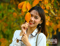 [ẢNH] Ngỡ ngàng với bản giao hưởng màu sắc của các loài hoa bên hồ Gươm