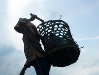 [ẢNH] Cận cảnh cuộc sống vất vả mưu sinh tại bãi rác lớn nhất thế giới