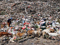 [ẢNH] Cận cảnh cuộc sống vất vả mưu sinh tại bãi rác lớn nhất thế giới