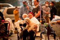 [ẢNH] Hỏa hoạn có sức hủy diệt khủng khiếp ở California, Mỹ