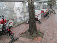 Xe đạp lọc nước ở hồ Hoàng Cầu 