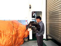 Luyện chim đại bàng giữa Trường Sa