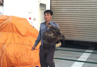 Luyện chim đại bàng giữa Trường Sa