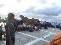 Luyện chim đại bàng giữa Trường Sa