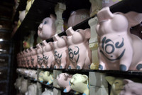 Lợn đất Bát Tràng rộn ràng đón xuân