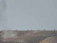 Rầm rập tiến quân, quân đội Syria chuẩn bị đập tan căn cứ IS tại chiến địa Homs