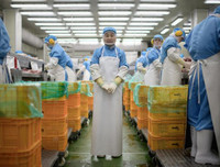 [Ảnh] Những nét tương đồng kỳ lạ giữa cuộc sống người dân Hàn Quốc và Triều Tiên