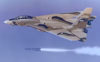 [ẢNH] Iran lệnh cho phi đội F-14 cất cánh sau khi Thiếu tướng Qasem Soleimani bị Mỹ hạ sát