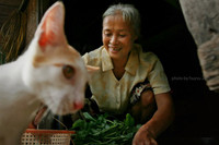 Cảm xúc Hà Nội qua góc nhìn 