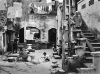 Cảm xúc Hà Nội qua góc nhìn 