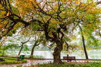 Cảm xúc Hà Nội qua góc nhìn 