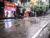 [ẢNH] Hà Nội: Mưa lớn, nhiều cây xanh bật gốc
