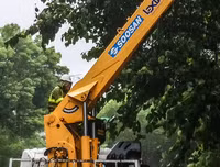 [ẢNH] Hà Nội: Mưa lớn, nhiều cây xanh bật gốc